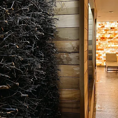 Aries & 호텔 슈차이르크