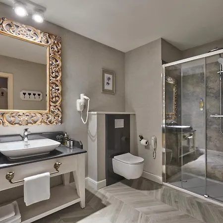 Hotel Aries & 5*