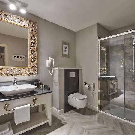Hotel Aries & 5*